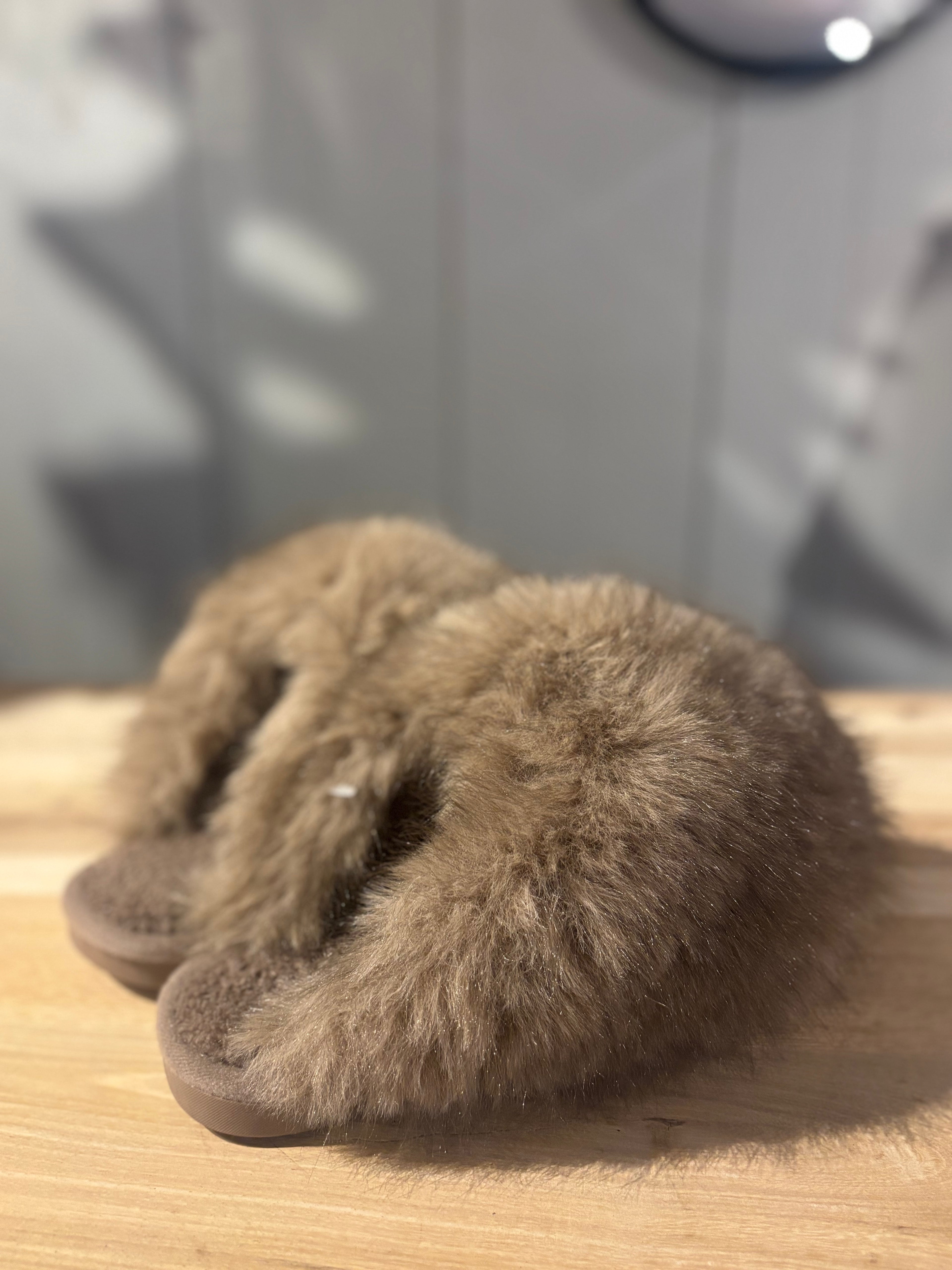 pälstofflor